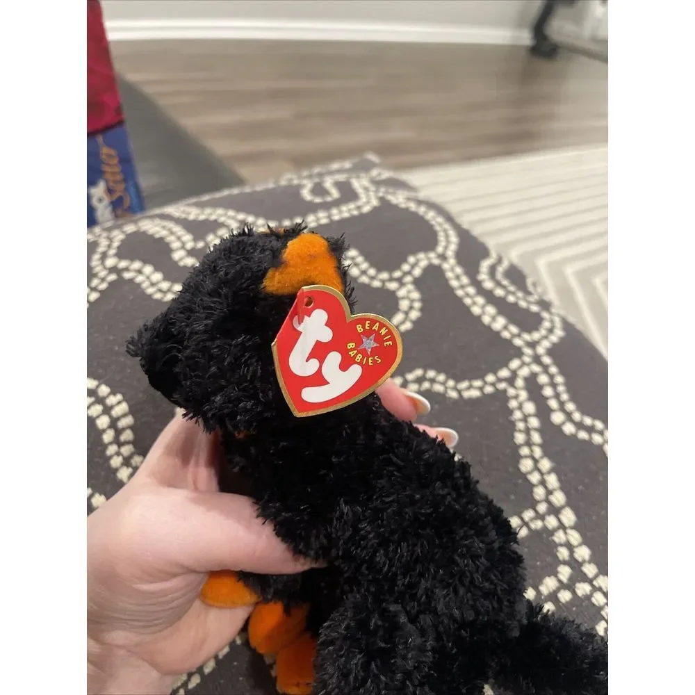 TY Beanie Baby - FRAIDY the Black Cat 6
